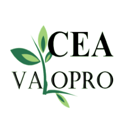 Logo CEA-VALOPRO